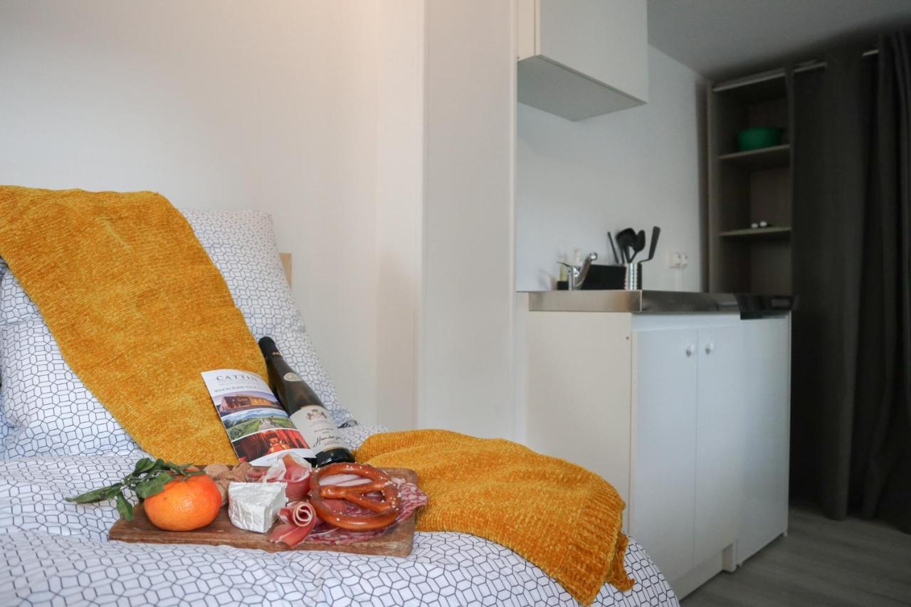 Le Domaine Mulhousien Appartement Mulhouse Buitenkant foto